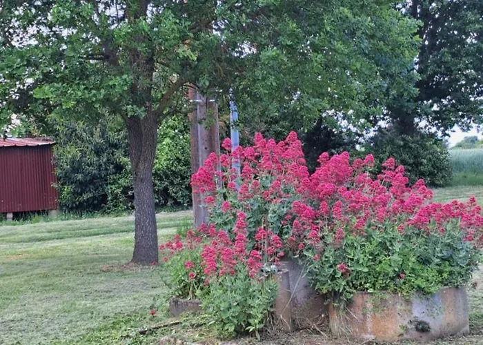Ferme Les Pigeonnieres فيلة Canals